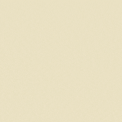 spot_img
